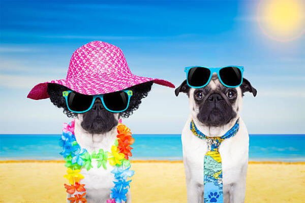 Istockphoto 510785726 612x612